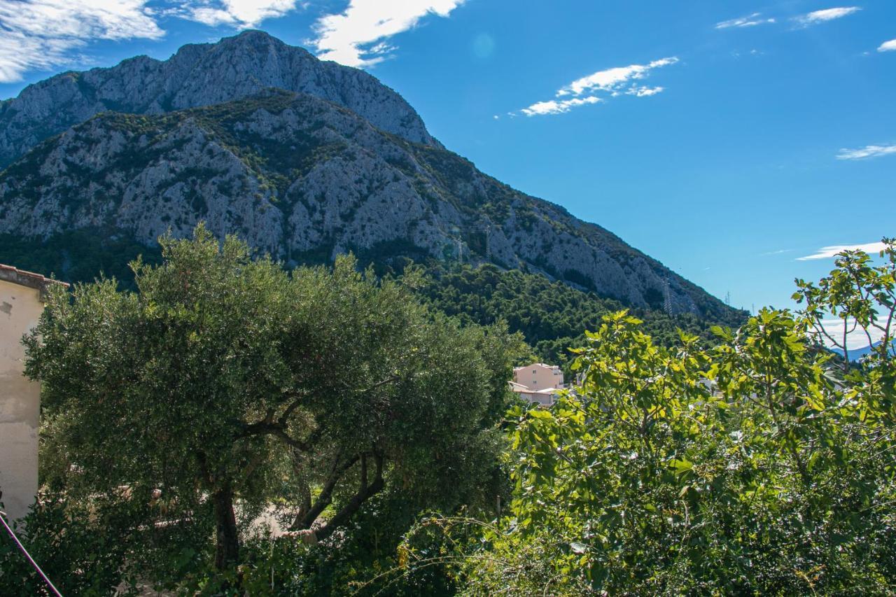 Apartments With A Parking Space Gradac, Makarska - 14708 Exteriör bild
