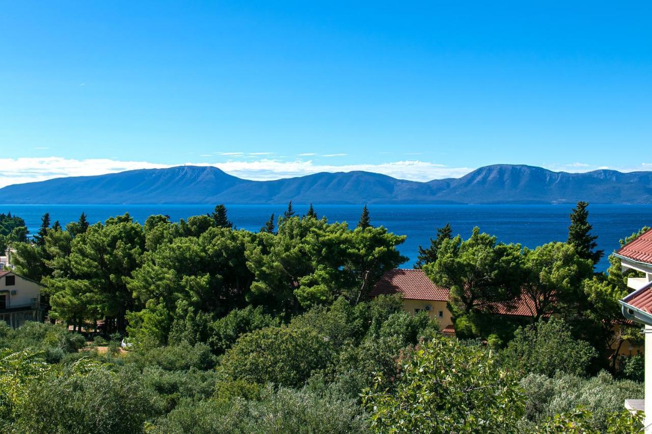 Apartments With A Parking Space Gradac, Makarska - 14708 Exteriör bild