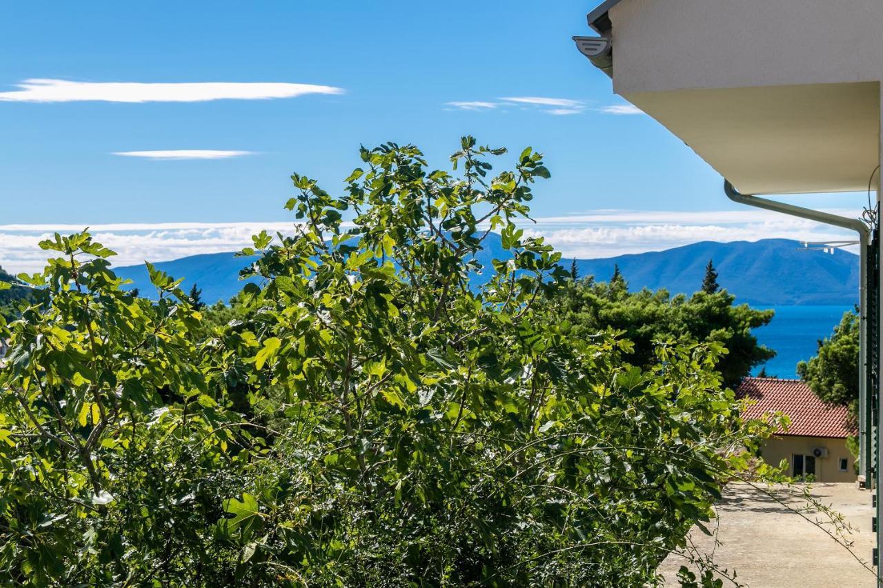 Apartments With A Parking Space Gradac, Makarska - 14708 Exteriör bild